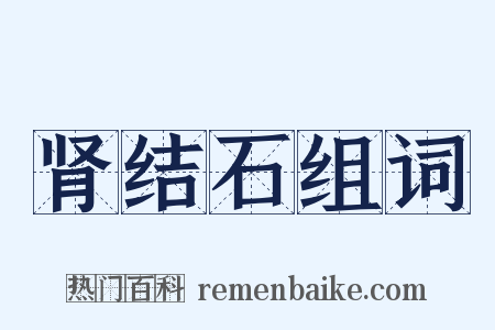 肾结石组词是什么意思的图片